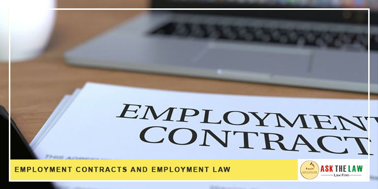 Employment Contract and Law Post-February 2023 | Work Types