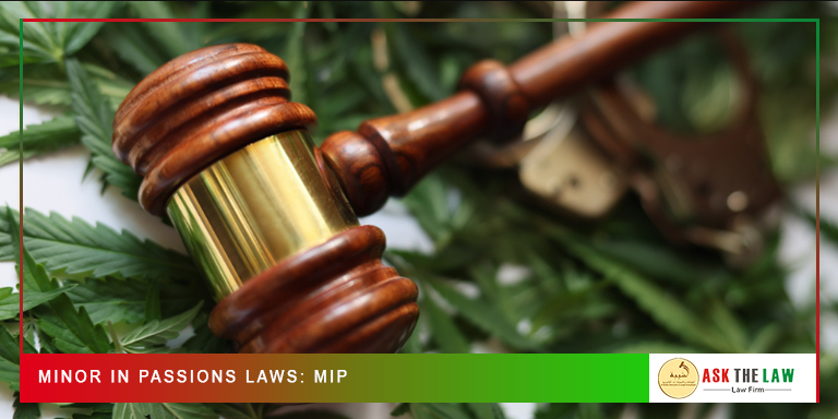Minor-in-Passions-Laws-MIP Minor in Passions Laws in UAE
